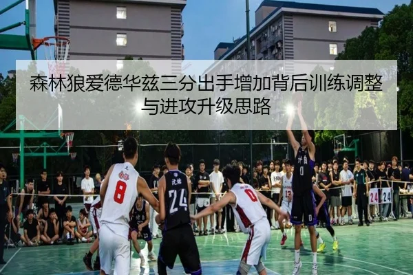 森林狼爱德华兹三分出手增加背后训练调整与进攻升级思路
